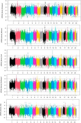 Comparative Signatures of Selection Analyses Identify Loci Under Positive Selection in the Murrah Buffalo of India